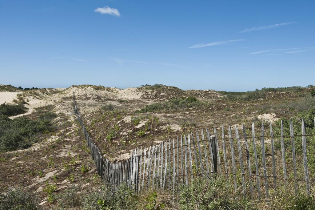 Evancy Etoile Des Dunes Bray-Dunes Bagian luar foto