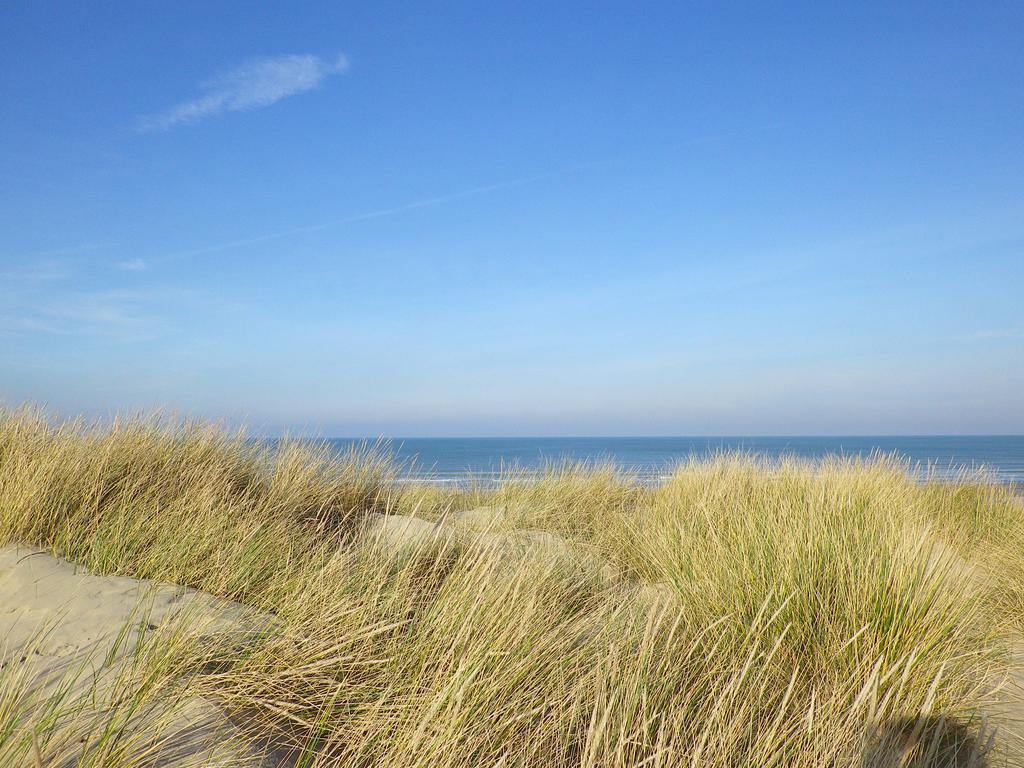 Evancy Etoile Des Dunes Bray-Dunes Bagian luar foto