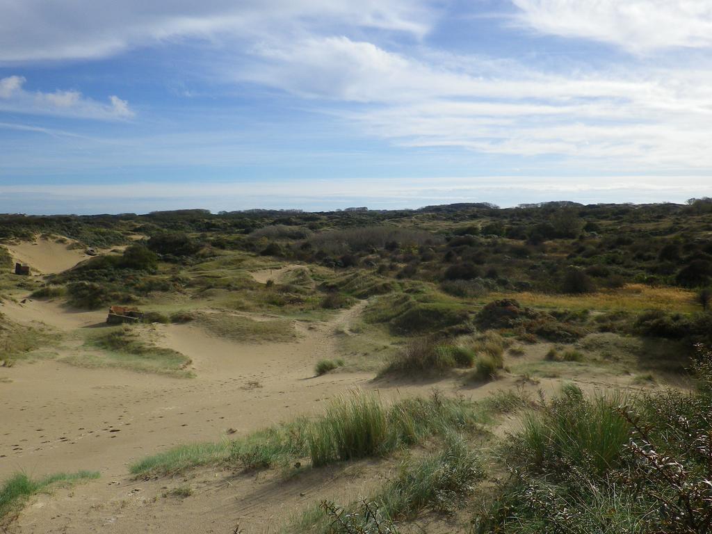 Evancy Etoile Des Dunes Bray-Dunes Bagian luar foto